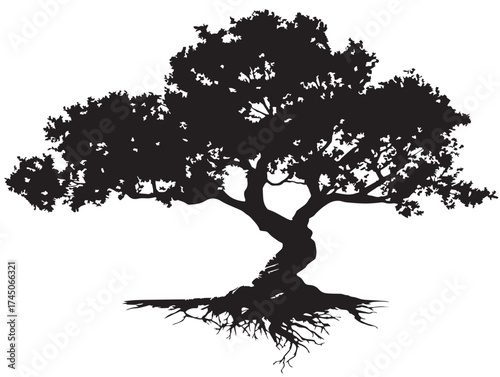 Artistic tree with knotted trunk and roots line drawing