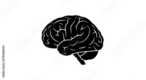 Stylized Black and White Illustration of a Human Brain.