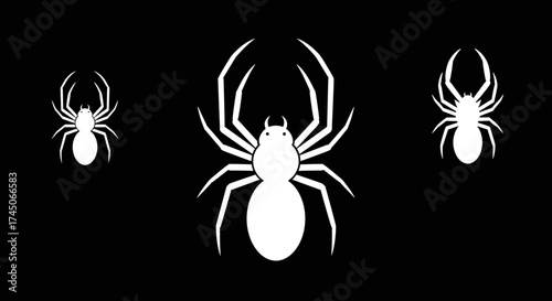 Three White Spider Silhouettes on a Black Background.