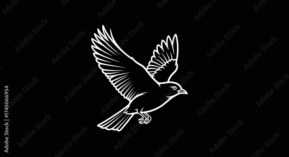 Obraz premium White Line Art Bird Illustration Flying on Black Background.