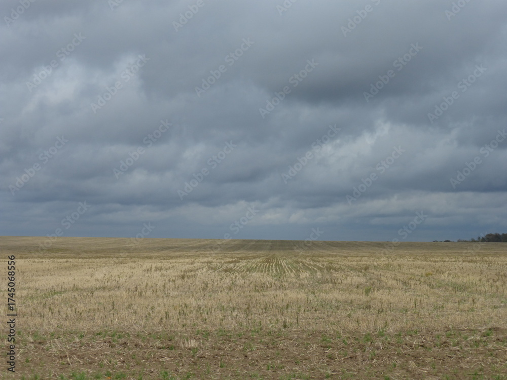 Fototapeta premium Gray Cloudy Sky Over an Autumn Field