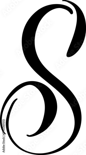 Hand drawn vector calligraphy letter S. Script capital font logo. style flourish brush Handwritten