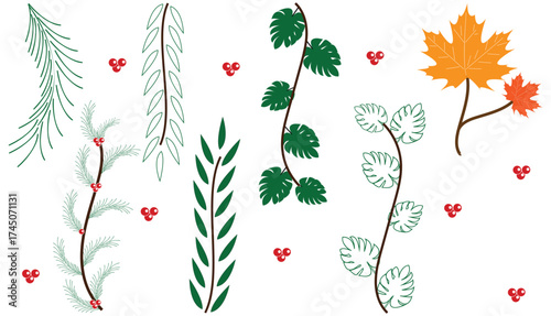 Collection of various green and autumn leaves with red berries on white background, Botanical leaf set with tropical and seasonal foliage illustration, Decorative plant branch and leaf design 