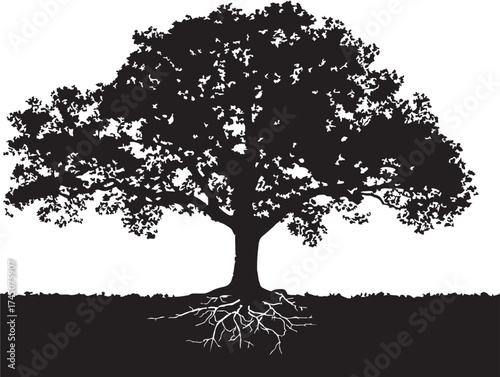 Tree with Root Cavern Silhouette Minimalist Vector Nature Artwork
