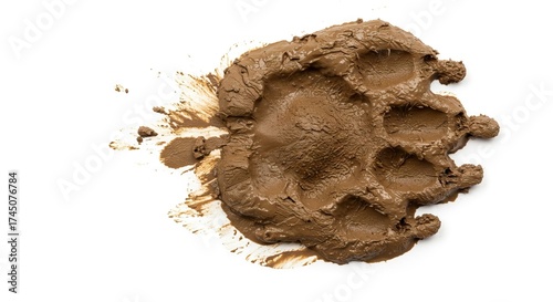 Brown muddy animal paw print with visible claw imprints on a white background