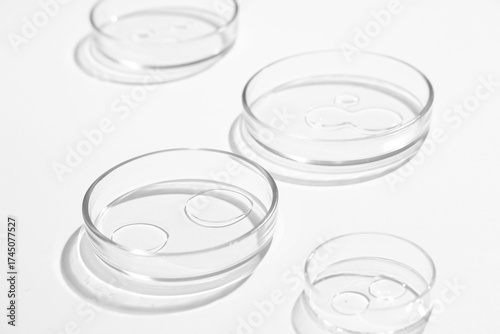 Petri dishes with transpare...