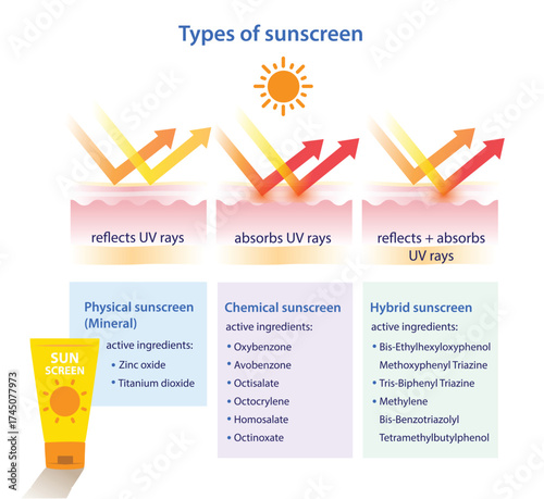 Comparison of physical, mineral, chemical and hybrid sunscreen ingredients vector illustration. The mechanism of types of sunscreen work reflects, absorbs UV rays, combines the above two advantages.