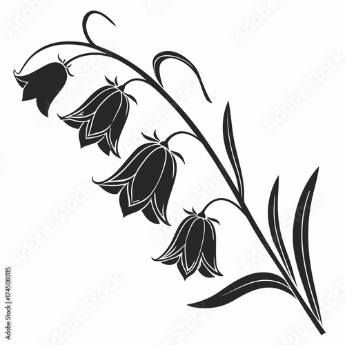 Elegant black silhouette of bell flowers on a stem