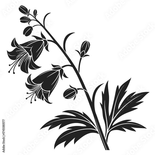 Elegant black silhouette of bell flowers and leaves on white background