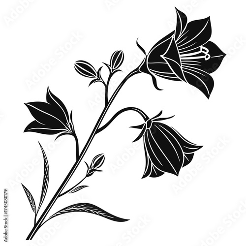 Elegant black and white silhouette of bellflowers