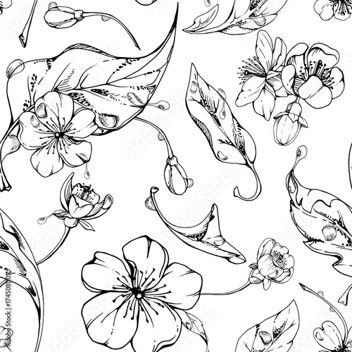 Cherry sakura apple white flower and bud with plant leaves on branches, hand drawn vector ink, wildflower botanical illustration. Seamless isolated pattern, for scrapbooking, wedding, florist shop.