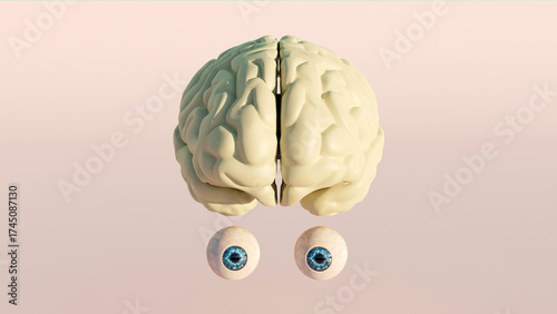 Quadro su tela 3D rendering of a human brain with eye anatomical model on color background, Med
