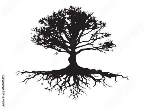 Detailed Tree Roots Spreading Underground 2D Vector Line Art Illustration  