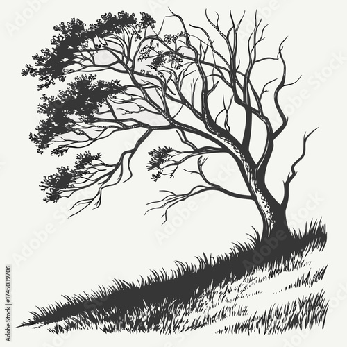 Slika na platnu Stylized silhouette of a windswept tree on a grassy hill