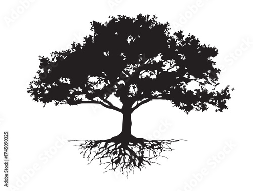 Resilient Tree in Desert Landscape 2D Vector Line Art Illustration  