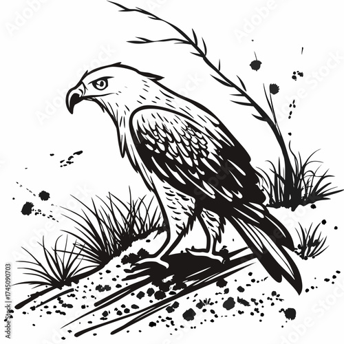 Black and white illustration of a hawk standing in grass with ink splatters