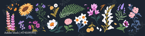 Set of different wildflowers. Various flowers and leaves: sunflower, cornflower, dandelion, fern, poppy, forget me nots. Meadow nature, bloom plants. Floral decor. Flat isolated vector illustrations