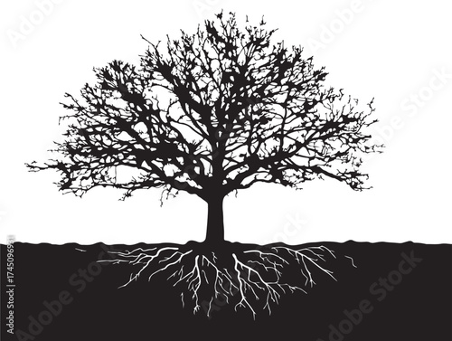 Mysterious Swamp Tree with Roots Beneath Surface 2D Vector Line Art