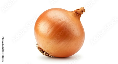Wallpaper Mural A single goldenbrown onion with its dry outer layers and top stem is centered on a stark white background Torontodigital.ca