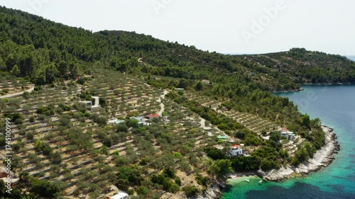 A hillside on the Croatian coast covered with traditional terraced olive groves and modern villas. Winding roads connect the properties through the ancient agricultural landscape in this drone shot.
