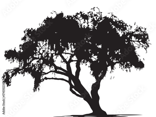 Serene Twilight Willow Tree 2D Vector Line Art Artwork  