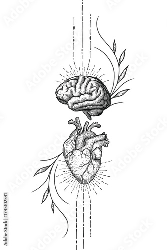 Anatomical Brain and Heart Hand-Drawn Engraving Style Vector Art. Human Organs with Floral and Rayburst Elements, Ideal for Tattoo and Spiritual Designs.. Adobe Illustrator Artwork