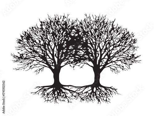 Twin Trees With Roots Beautiful 2D Vector Line Art Silhouette  