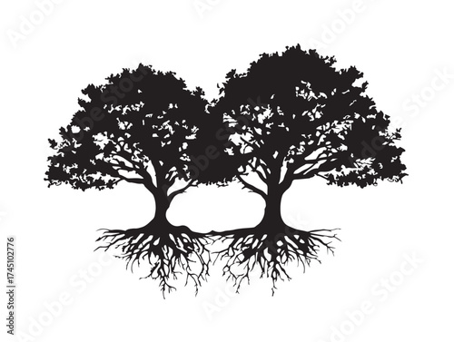 Twin Trees With Intertwined Roots 2D Vector Line Art Artwork  