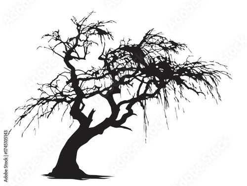 Elegant Twisted Willow Tree Silhouette 2D Vector Line Art