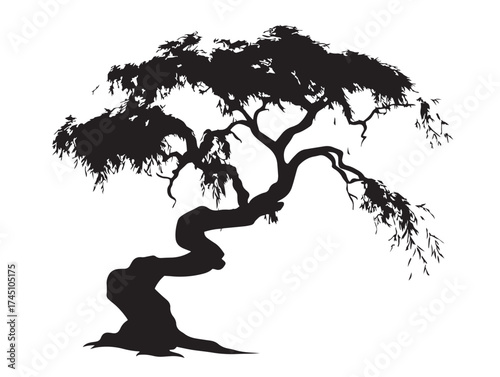 Twisted Willow Tree With Flowing Branches Vector Line Art Illustration