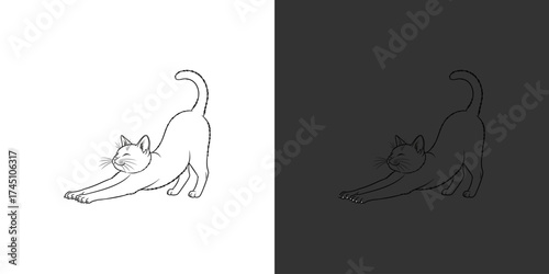 A playful cat stretching its body in a cozy indoor setting, with soft lighting enhancing the mood
