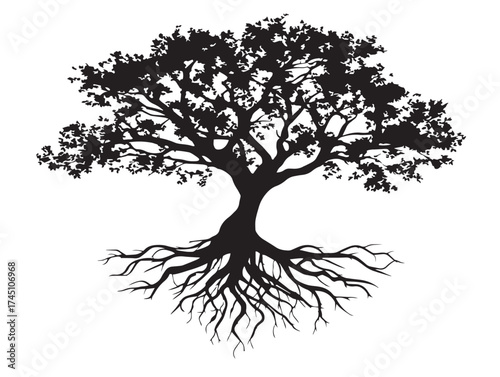 Silhouette of young tree with spreading roots vector line art design