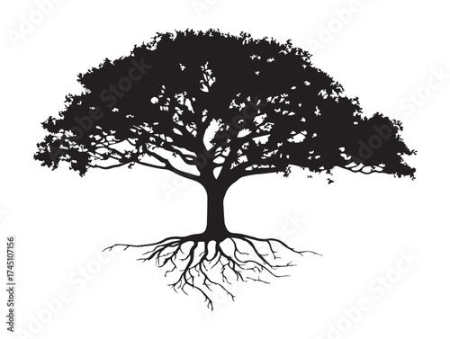 Silhouette of young tree with wide spreading roots vector illustration