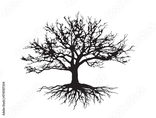 Silhouette of young tree with intricate spreading roots vector art