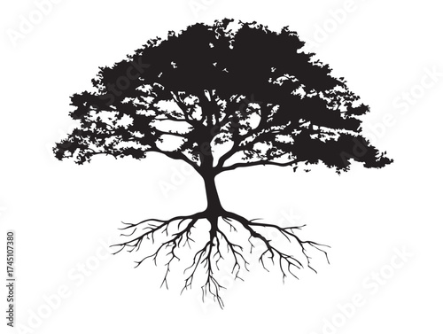 Young tree with spreading roots artistic 2D vector line drawing illustration