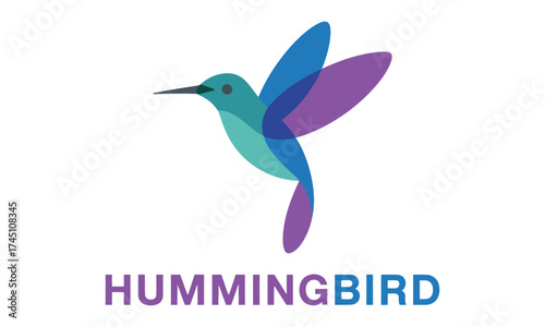 Colorful geometric hummingbird logo design with text below