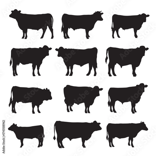 Black and white beef steer silhouettes collection