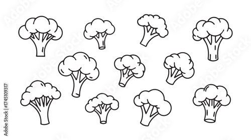 Collection of fresh broccoli florets hand drawn sketch style for healthy food concepts vector