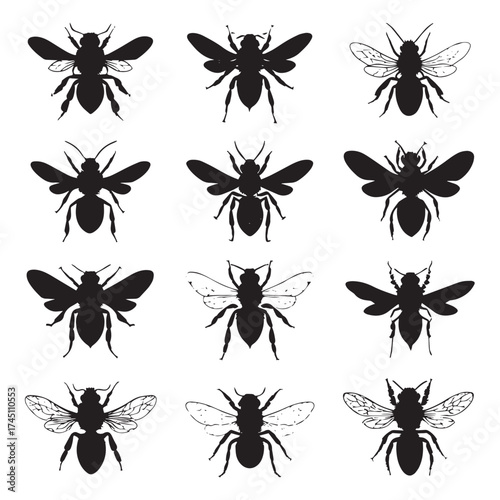 Collection of black and white bee silhouettes
