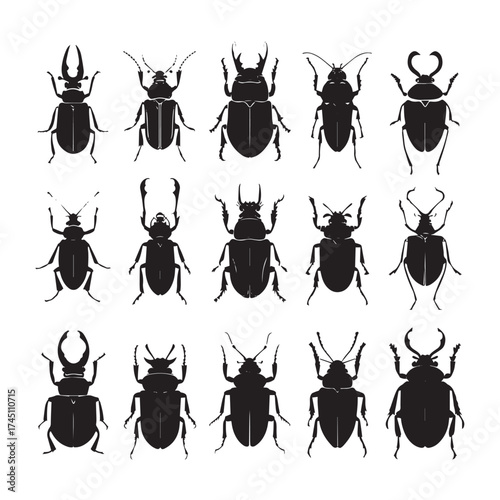 Collection of black and white beetle silhouettes
