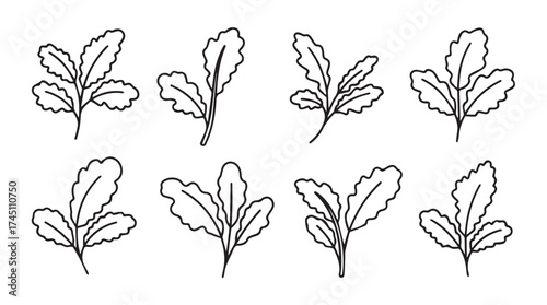 Collection of hand-drawn botanical leaf sprigs with delicate outline detail vector