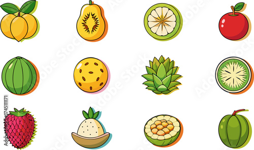 Assortment of fresh exotic fruits and melons hand drawn style isolated on white