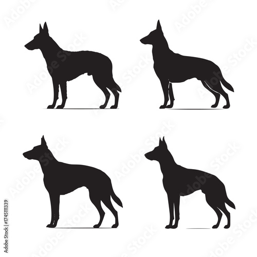 Belgian malinois dog silhouette collection