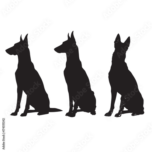Belgian malinois dog silhouette collection