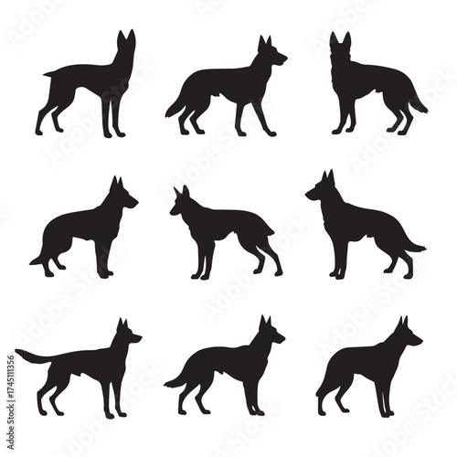 Belgian malinois dog silhouettes collection
