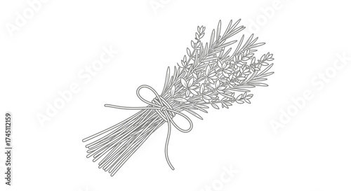 Delicate botanical line art of a rustic herb bouquet tied with twine, perfect for natural branding and artisanal designs