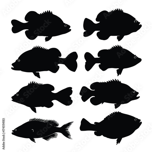 Blobfish silhouette collection black and white graphics