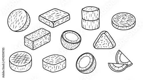 Hand drawn coconut pieces various shapes and slices isolated on vector