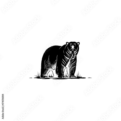 A black silhouette of a bear standing in short grass, against a stark white background