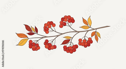 Illustration of a branch with red berries and autumn leaves on a light background.